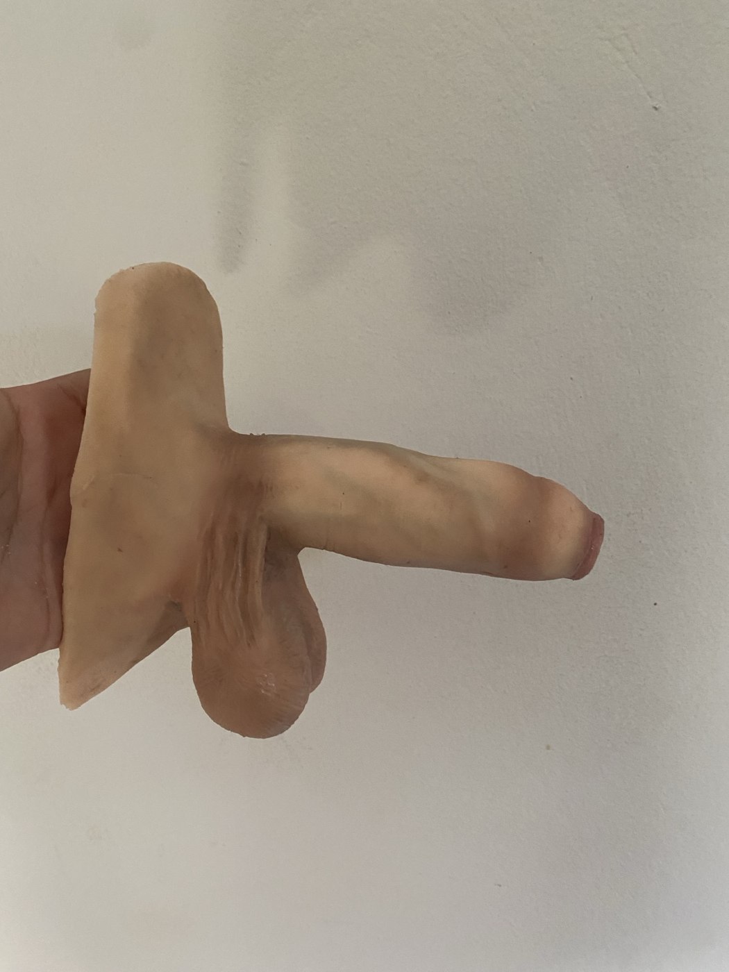 Fotografia de protótipo real da Transman
